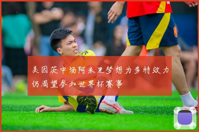 美因茨中场阿米里梦想为多特效力仍渴望参加世界杯赛事